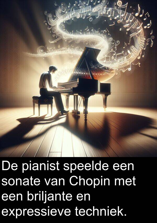 expressieve: De pianist speelde een sonate van Chopin met een briljante en expressieve techniek.
