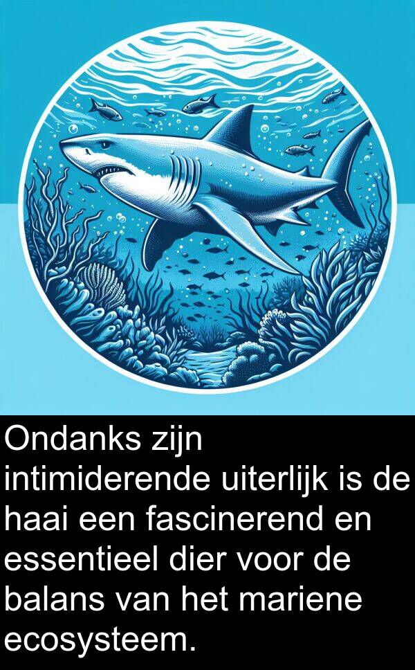 balans: Ondanks zijn intimiderende uiterlijk is de haai een fascinerend en essentieel dier voor de balans van het mariene ecosysteem.