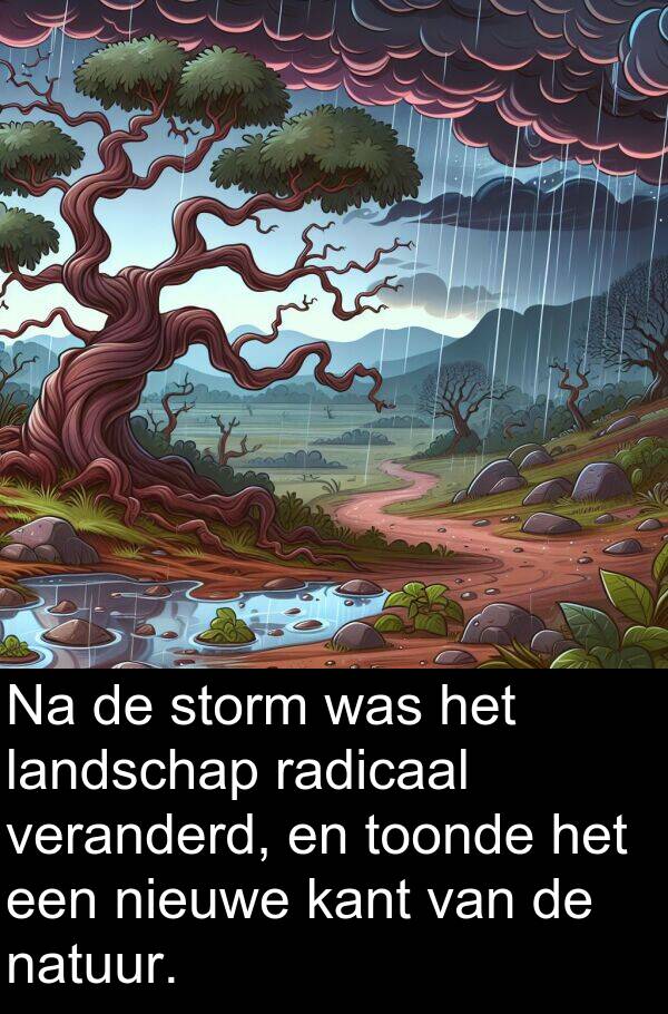 veranderd: Na de storm was het landschap radicaal veranderd, en toonde het een nieuwe kant van de natuur.