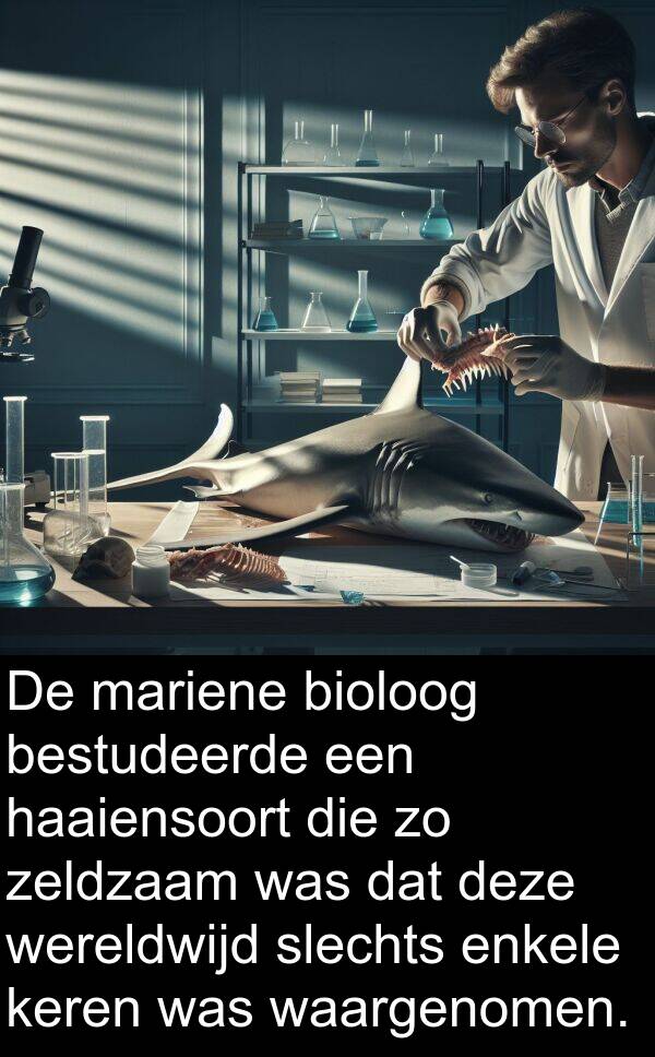 bestudeerde: De mariene bioloog bestudeerde een haaiensoort die zo zeldzaam was dat deze wereldwijd slechts enkele keren was waargenomen.