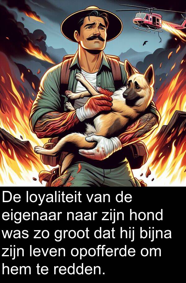 groot: De loyaliteit van de eigenaar naar zijn hond was zo groot dat hij bijna zijn leven opofferde om hem te redden.