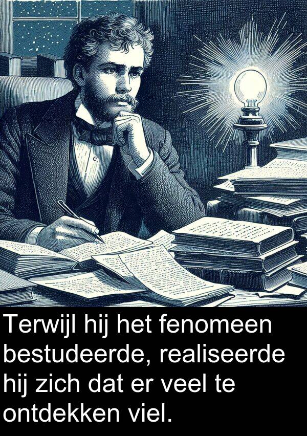 bestudeerde: Terwijl hij het fenomeen bestudeerde, realiseerde hij zich dat er veel te ontdekken viel.
