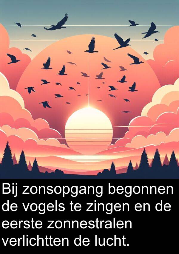 zingen: Bij zonsopgang begonnen de vogels te zingen en de eerste zonnestralen verlichtten de lucht.