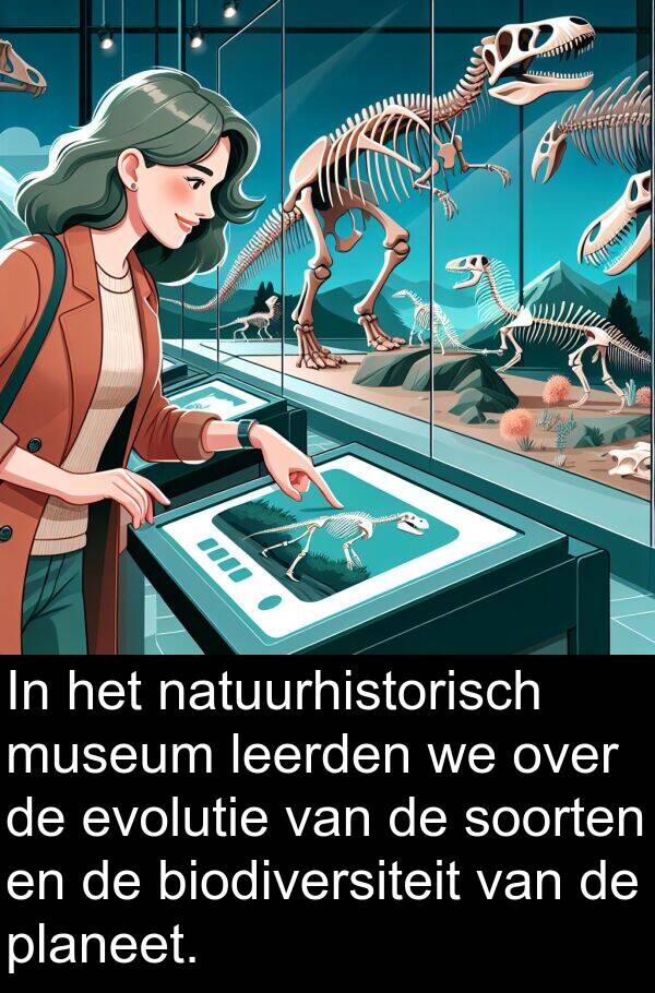 soorten: In het natuurhistorisch museum leerden we over de evolutie van de soorten en de biodiversiteit van de planeet.
