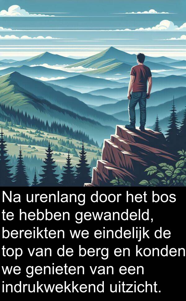 gewandeld: Na urenlang door het bos te hebben gewandeld, bereikten we eindelijk de top van de berg en konden we genieten van een indrukwekkend uitzicht.
