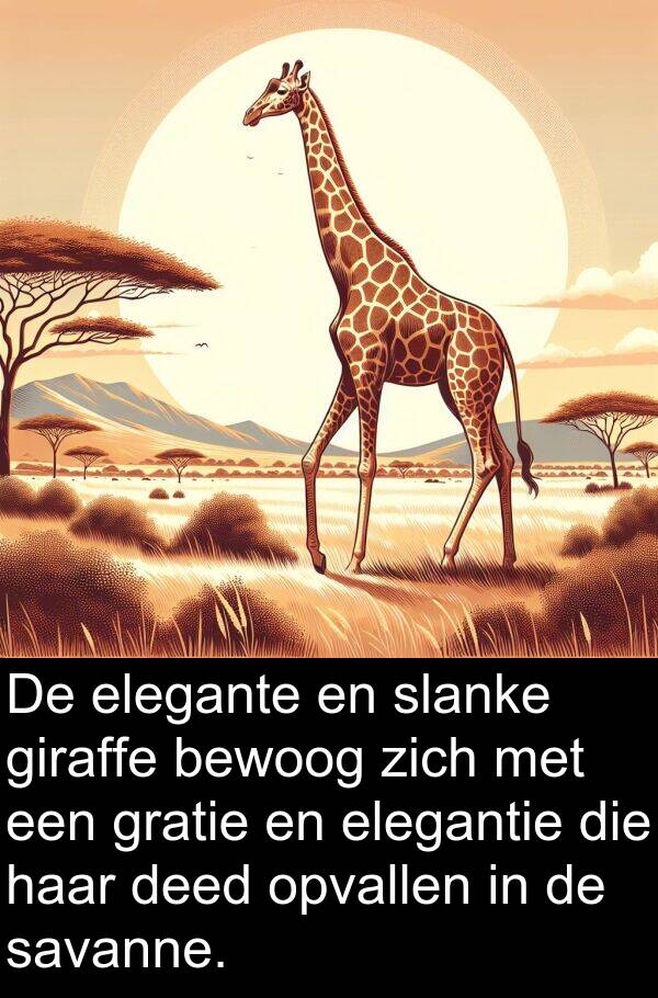 giraffe: De elegante en slanke giraffe bewoog zich met een gratie en elegantie die haar deed opvallen in de savanne.