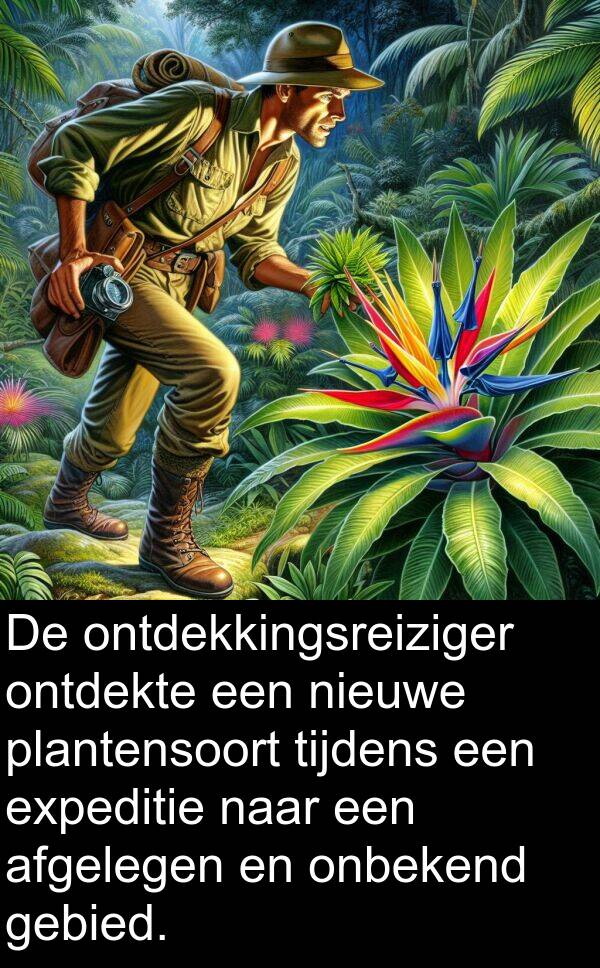 plantensoort: De ontdekkingsreiziger ontdekte een nieuwe plantensoort tijdens een expeditie naar een afgelegen en onbekend gebied.