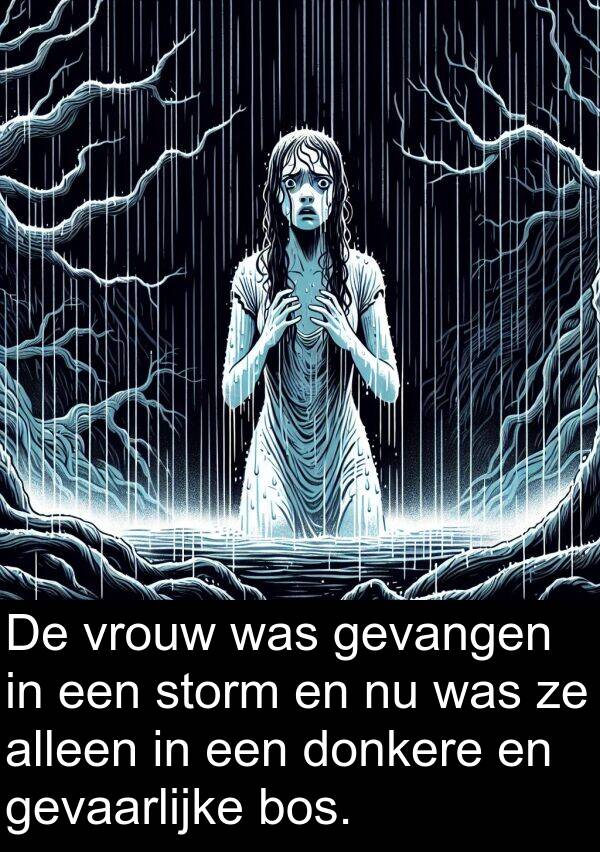 gevaarlijke: De vrouw was gevangen in een storm en nu was ze alleen in een donkere en gevaarlijke bos.