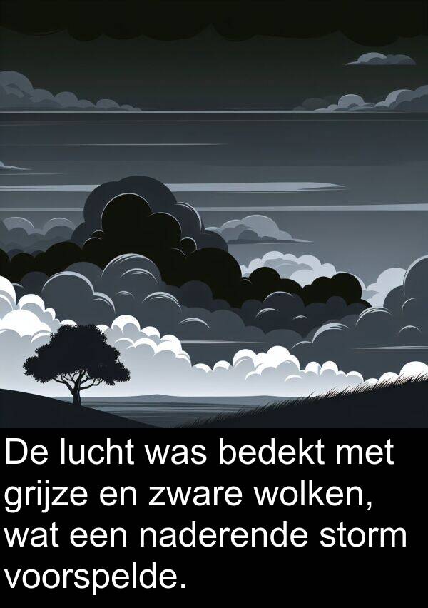 grijze: De lucht was bedekt met grijze en zware wolken, wat een naderende storm voorspelde.