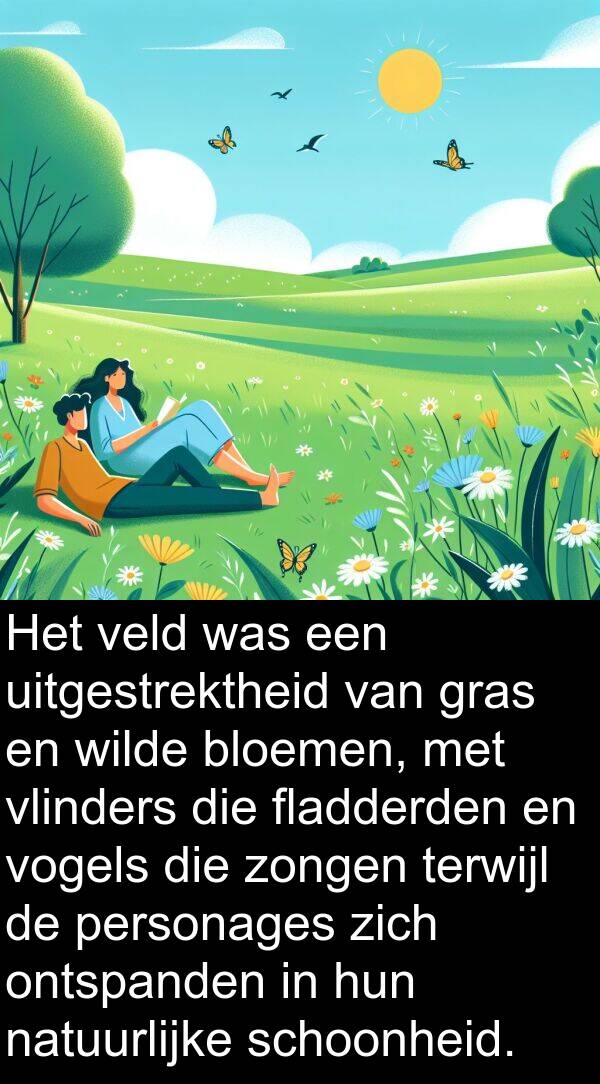 fladderden: Het veld was een uitgestrektheid van gras en wilde bloemen, met vlinders die fladderden en vogels die zongen terwijl de personages zich ontspanden in hun natuurlijke schoonheid.