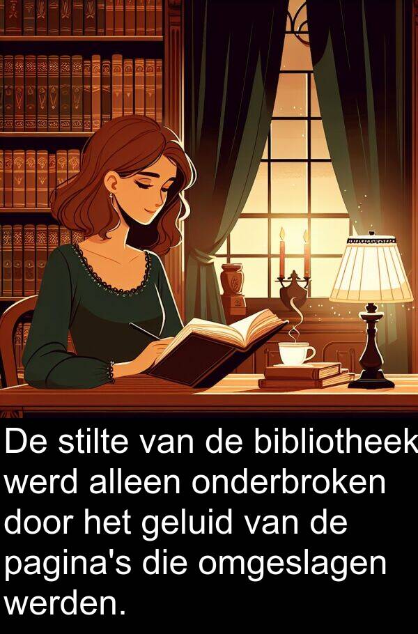 geluid: De stilte van de bibliotheek werd alleen onderbroken door het geluid van de pagina's die omgeslagen werden.
