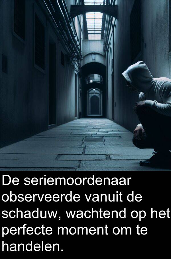 schaduw: De seriemoordenaar observeerde vanuit de schaduw, wachtend op het perfecte moment om te handelen.