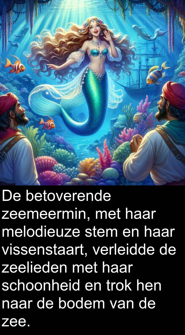 zee: De betoverende zeemeermin, met haar melodieuze stem en haar vissenstaart, verleidde de zeelieden met haar schoonheid en trok hen naar de bodem van de zee.