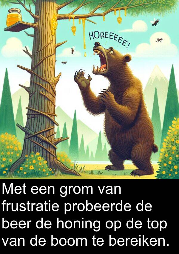 grom: Met een grom van frustratie probeerde de beer de honing op de top van de boom te bereiken.