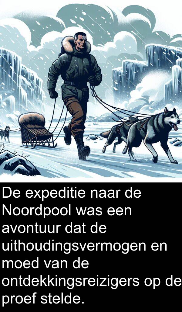 uithoudingsvermogen: De expeditie naar de Noordpool was een avontuur dat de uithoudingsvermogen en moed van de ontdekkingsreizigers op de proef stelde.