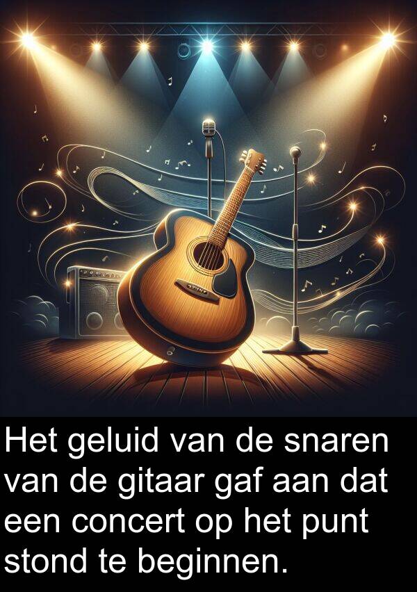 gitaar: Het geluid van de snaren van de gitaar gaf aan dat een concert op het punt stond te beginnen.