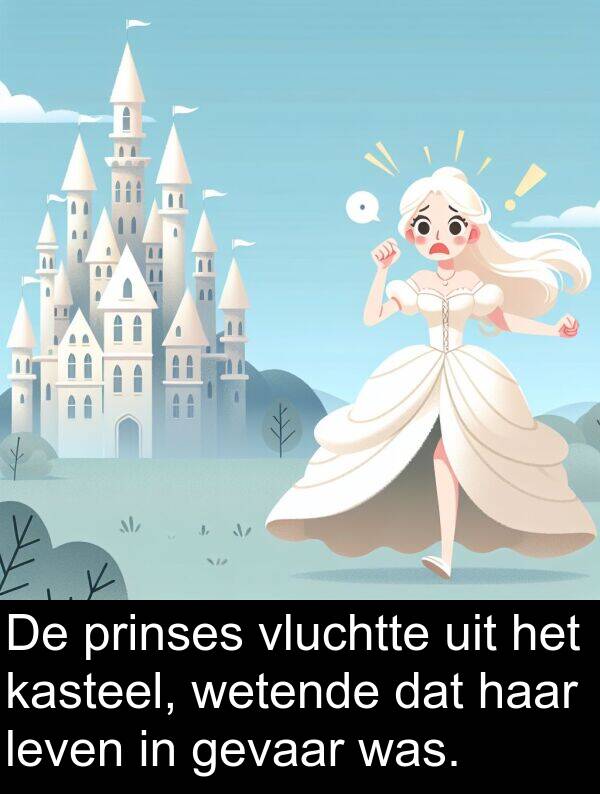 gevaar: De prinses vluchtte uit het kasteel, wetende dat haar leven in gevaar was.