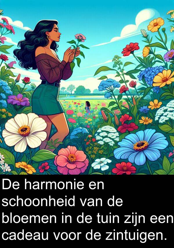 harmonie: De harmonie en schoonheid van de bloemen in de tuin zijn een cadeau voor de zintuigen.