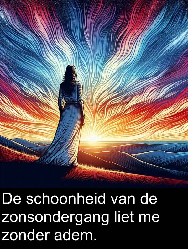 zonsondergang: De schoonheid van de zonsondergang liet me zonder adem.