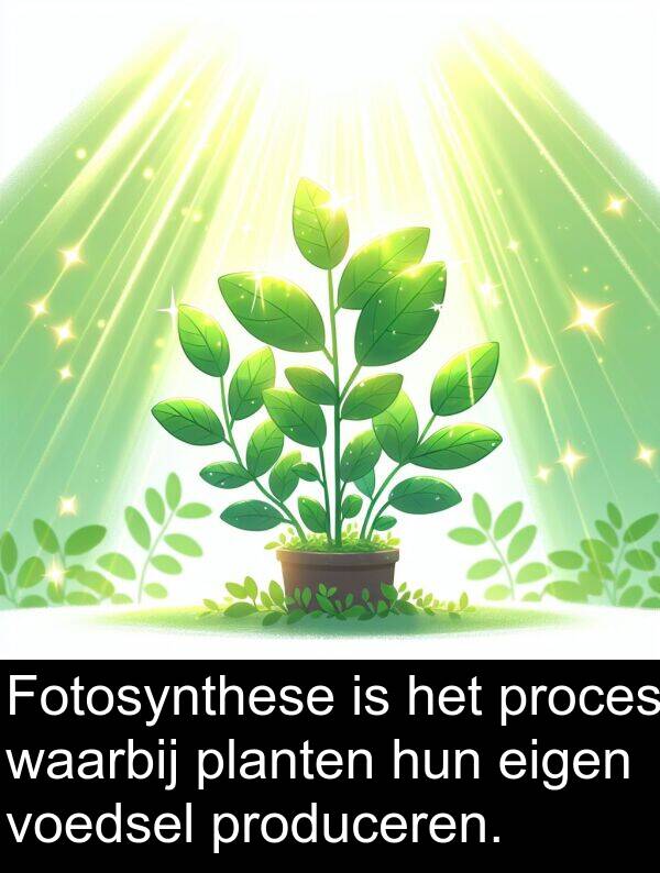 waarbij: Fotosynthese is het proces waarbij planten hun eigen voedsel produceren.