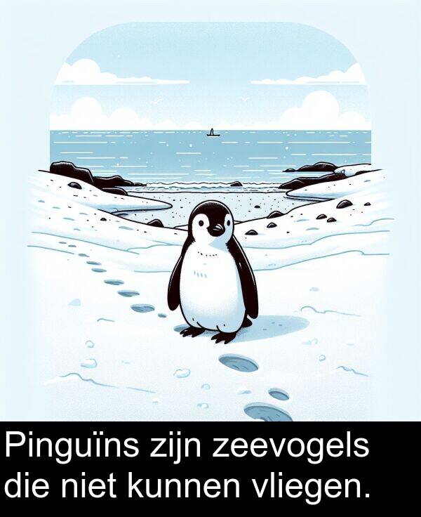 zeevogels: Pinguïns zijn zeevogels die niet kunnen vliegen.