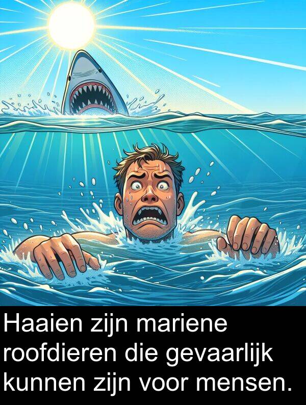 gevaarlijk: Haaien zijn mariene roofdieren die gevaarlijk kunnen zijn voor mensen.