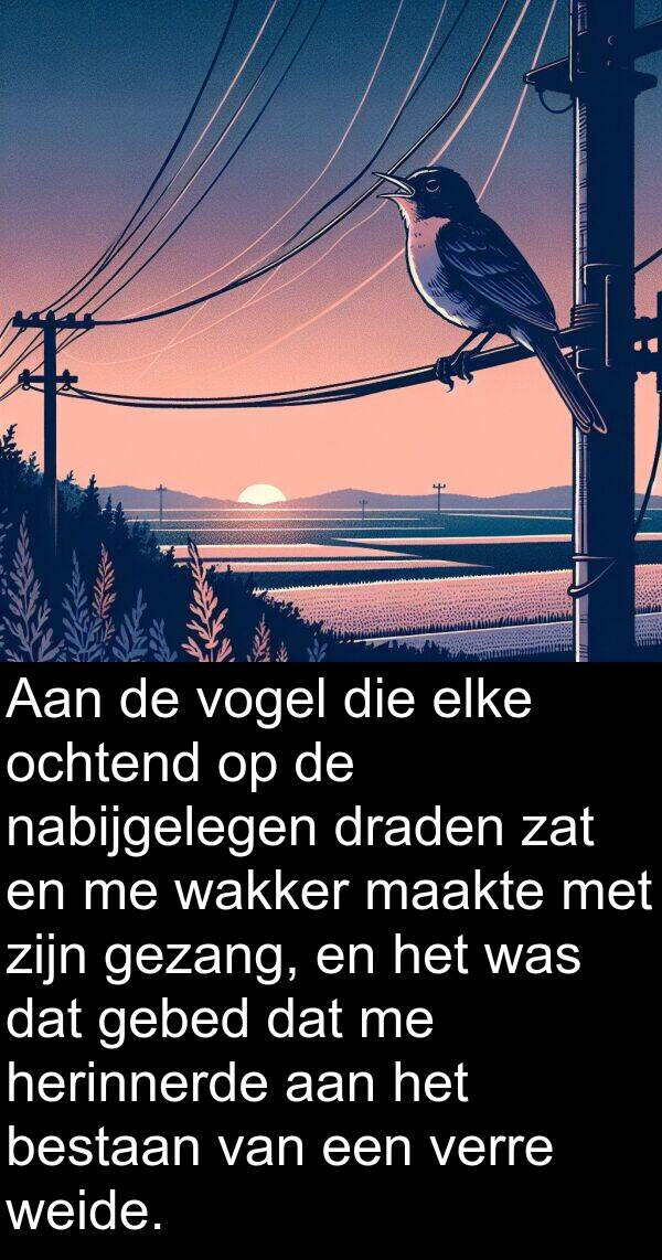 gezang: Aan de vogel die elke ochtend op de nabijgelegen draden zat en me wakker maakte met zijn gezang, en het was dat gebed dat me herinnerde aan het bestaan van een verre weide.