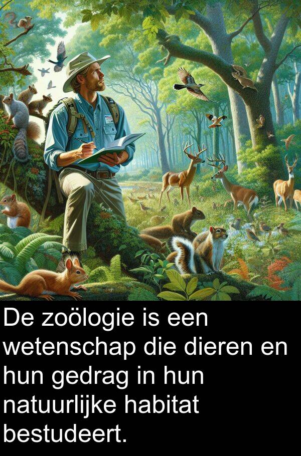 bestudeert: De zoölogie is een wetenschap die dieren en hun gedrag in hun natuurlijke habitat bestudeert.