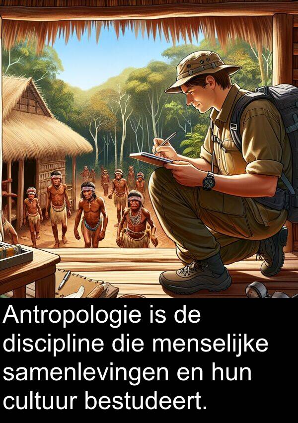 menselijke: Antropologie is de discipline die menselijke samenlevingen en hun cultuur bestudeert.
