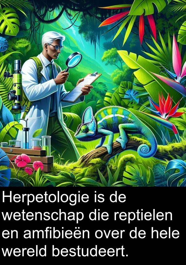 bestudeert: Herpetologie is de wetenschap die reptielen en amfibieën over de hele wereld bestudeert.