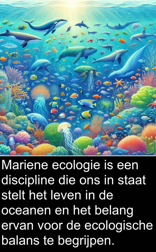 belang: Mariene ecologie is een discipline die ons in staat stelt het leven in de oceanen en het belang ervan voor de ecologische balans te begrijpen.