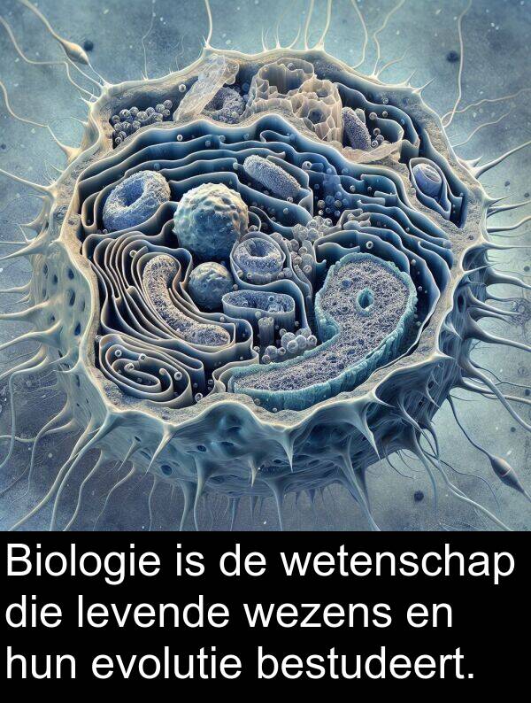 bestudeert: Biologie is de wetenschap die levende wezens en hun evolutie bestudeert.