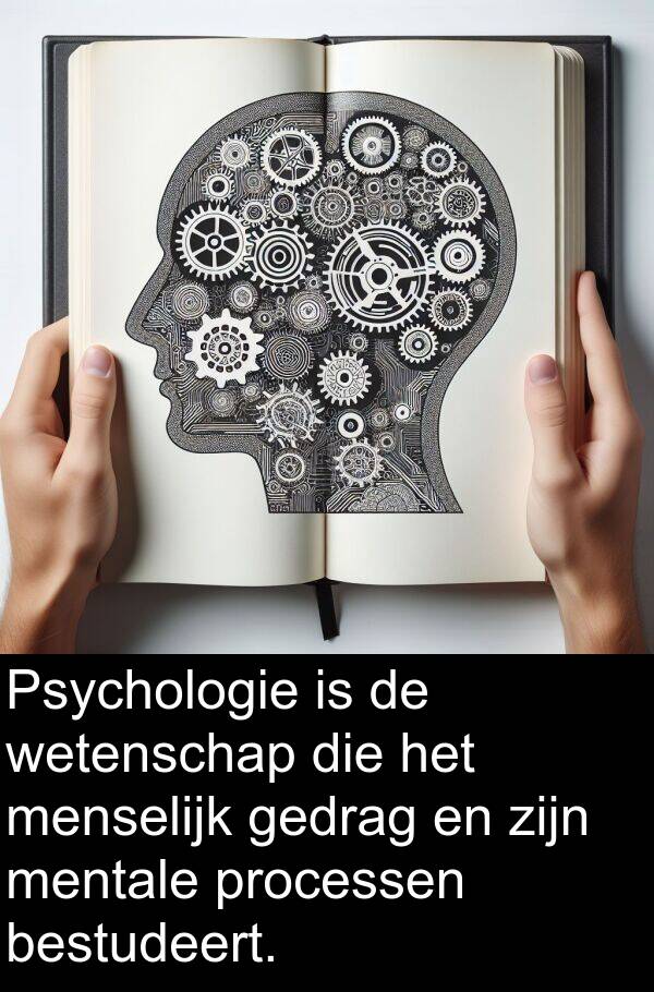 processen: Psychologie is de wetenschap die het menselijk gedrag en zijn mentale processen bestudeert.