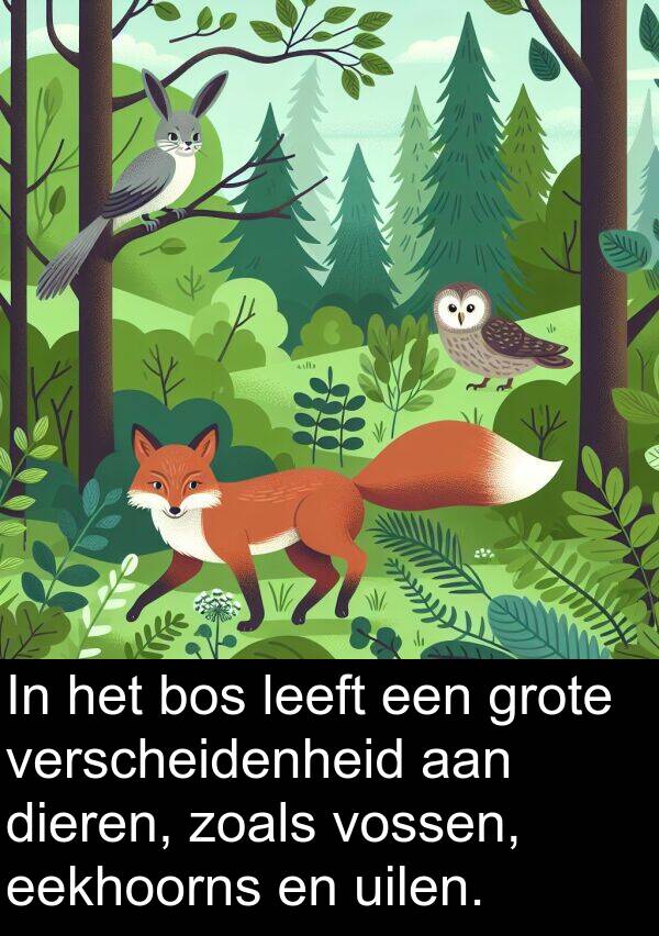 verscheidenheid: In het bos leeft een grote verscheidenheid aan dieren, zoals vossen, eekhoorns en uilen.