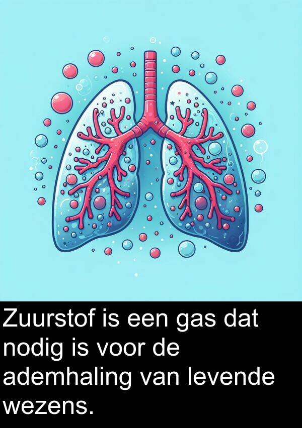 nodig: Zuurstof is een gas dat nodig is voor de ademhaling van levende wezens.