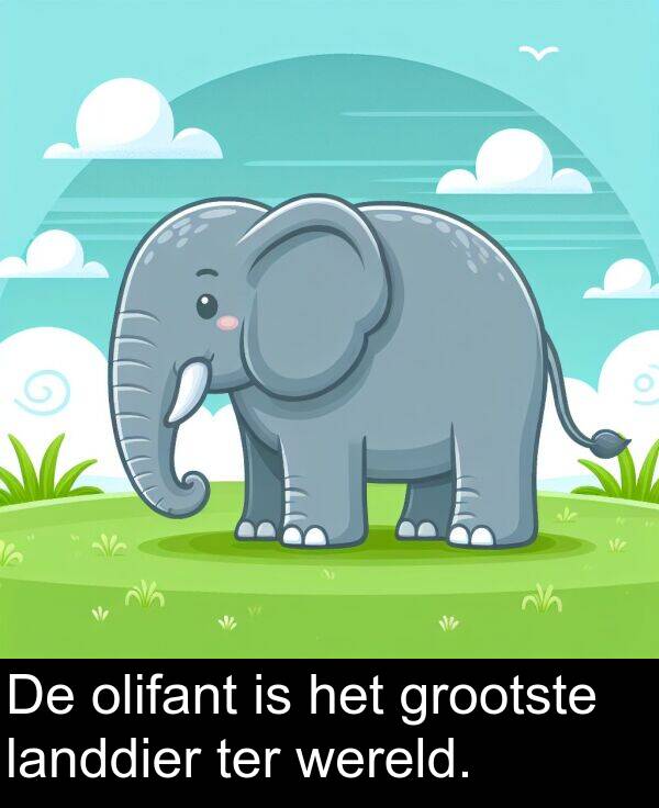 grootste: De olifant is het grootste landdier ter wereld.