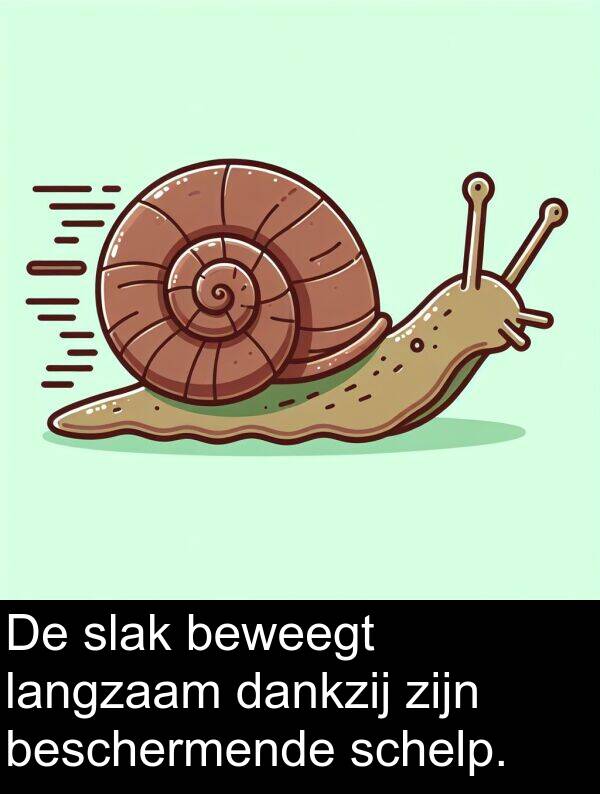 dankzij: De slak beweegt langzaam dankzij zijn beschermende schelp.