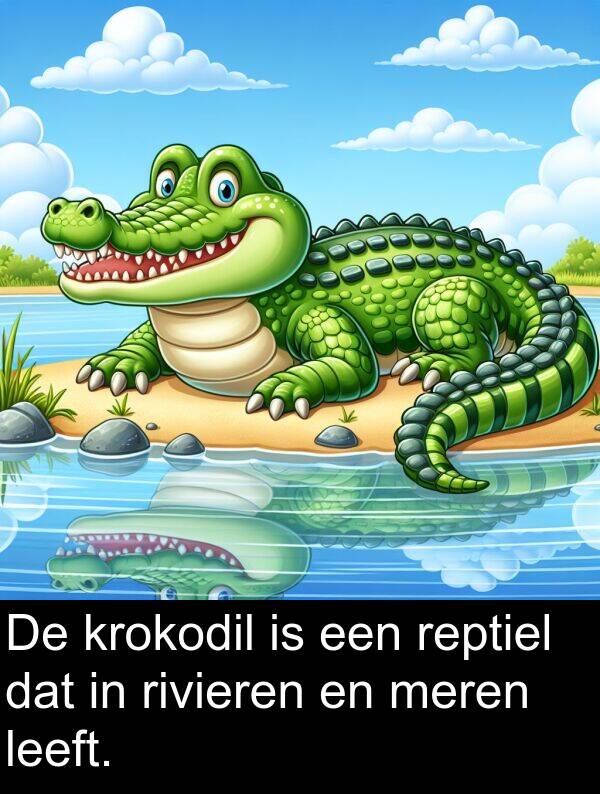 leeft: De krokodil is een reptiel dat in rivieren en meren leeft.