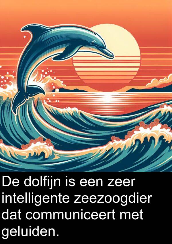geluiden: De dolfijn is een zeer intelligente zeezoogdier dat communiceert met geluiden.