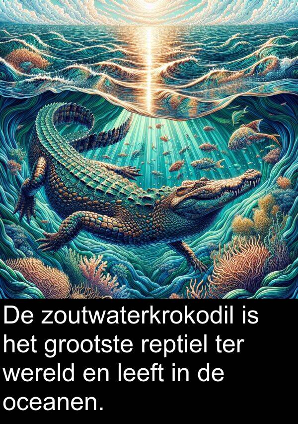grootste: De zoutwaterkrokodil is het grootste reptiel ter wereld en leeft in de oceanen.