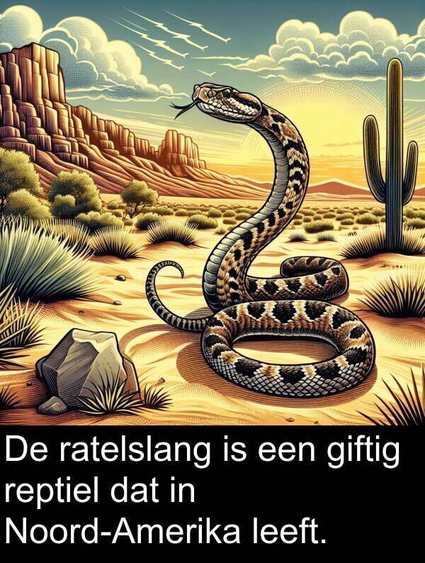 giftig: De ratelslang is een giftig reptiel dat in Noord-Amerika leeft.