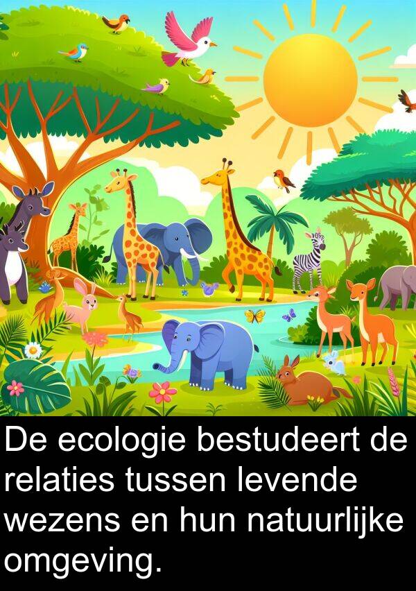 bestudeert: De ecologie bestudeert de relaties tussen levende wezens en hun natuurlijke omgeving.