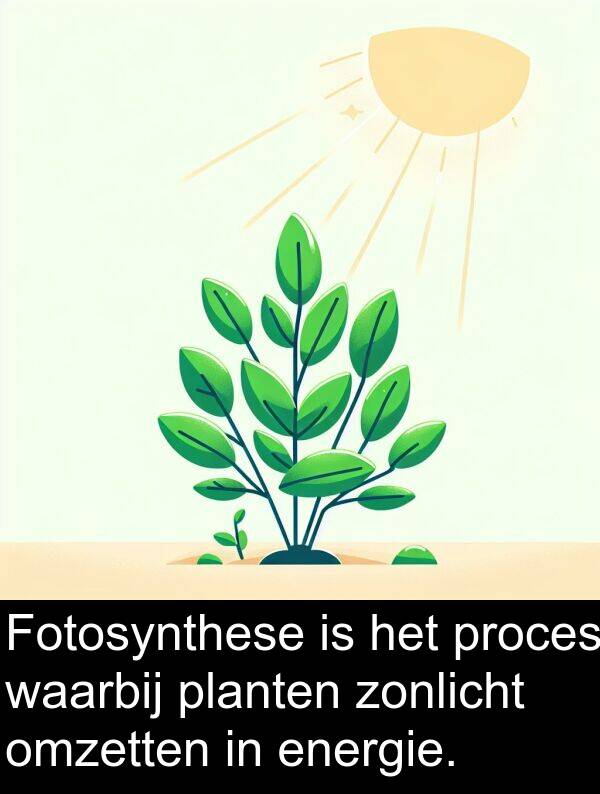 waarbij: Fotosynthese is het proces waarbij planten zonlicht omzetten in energie.