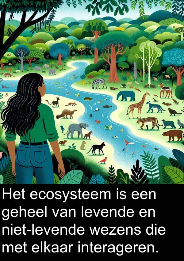 interageren: Het ecosysteem is een geheel van levende en niet-levende wezens die met elkaar interageren.
