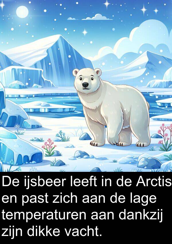 dankzij: De ijsbeer leeft in de Arctis en past zich aan de lage temperaturen aan dankzij zijn dikke vacht.