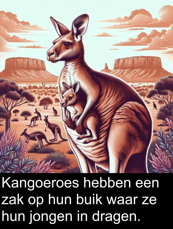 dragen: Kangoeroes hebben een zak op hun buik waar ze hun jongen in dragen.