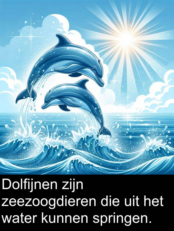 zeezoogdieren: Dolfijnen zijn zeezoogdieren die uit het water kunnen springen.