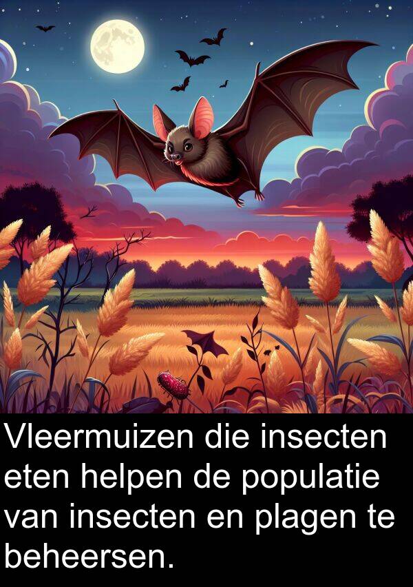 populatie: Vleermuizen die insecten eten helpen de populatie van insecten en plagen te beheersen.