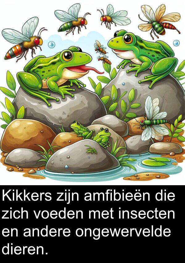 andere: Kikkers zijn amfibieën die zich voeden met insecten en andere ongewervelde dieren.