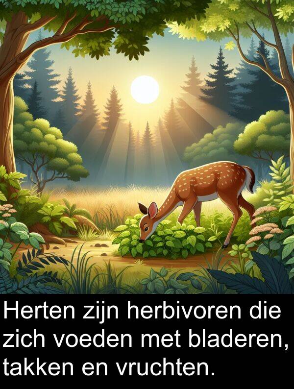 bladeren: Herten zijn herbivoren die zich voeden met bladeren, takken en vruchten.